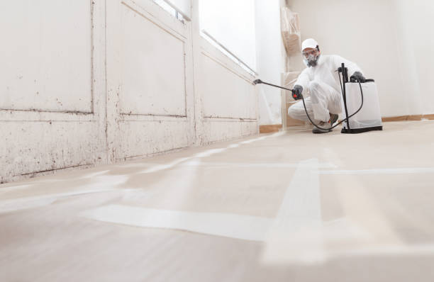 24/7 Emergency Attic Mold Removal experts in Woburn, MA