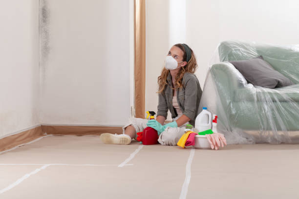 Reliable Attic Mold Removal contractor in Woburn, MA by WQB Mold Removal